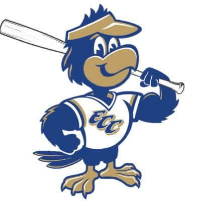 EST. 2022 | REGION 16 ⚾️ CHAMPIONSHIPS : 2022 | The East Central FALCONS are a JC and coached by @JM_KELLY4 | 2 MLB Players & 1 MLB All-Star