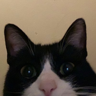 Ameeeeee2's profile picture. uhmmmm