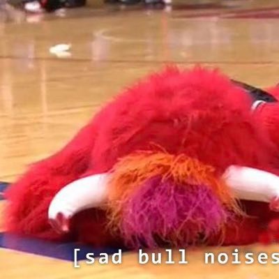 yelling about the bulls into the void