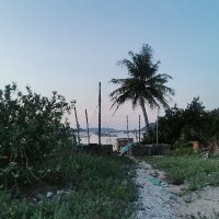 Kiet Le ❤️ Memecoin (@kietle215) 's Twitter Profile