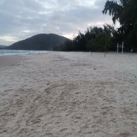 Hu Ho ❤️ Memecoin (@huho52) 's Twitter Profile