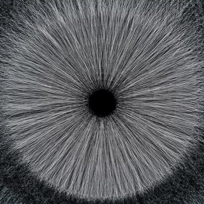 tyisokatcode's profile picture. Transitioning from the Restaurant Business to the Tech World!
