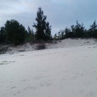 Dia Tran ❤️ Memecoin (@diatran4) 's Twitter Profile