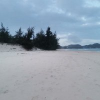 Tuy Pham ❤️ Memecoin (@tuypham15) 's Twitter Profile