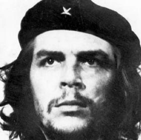 Tdcche's profile picture. 