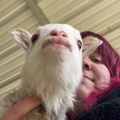 pug_restaurant's profile picture. floating