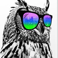 Cool Owl(@OneCoolOwl) 's Twitter Profile Photo