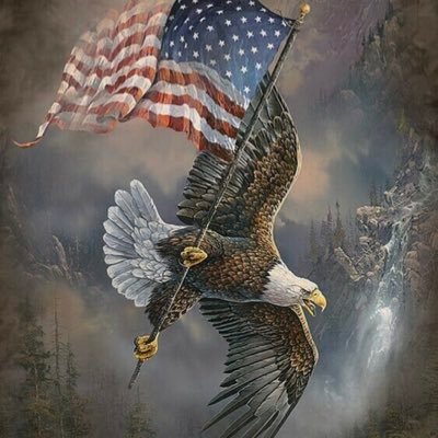 Anti-woke Freedom loving American. Free speech advocate. MAGA