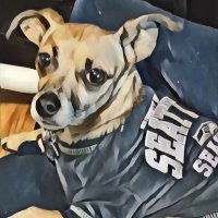 Angel🐾& Esme🐾❤️&💚🏈💙&⚾️Gail👨🦼CRPS (@gohawksfeathers) 's Twitter Profile