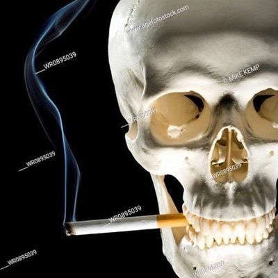 Seymo_theboi's profile picture. Big idiot, huge dumb ass, enormous moron, humongous buffoon