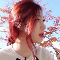hali (@vantesmoon) 's Twitter Profile