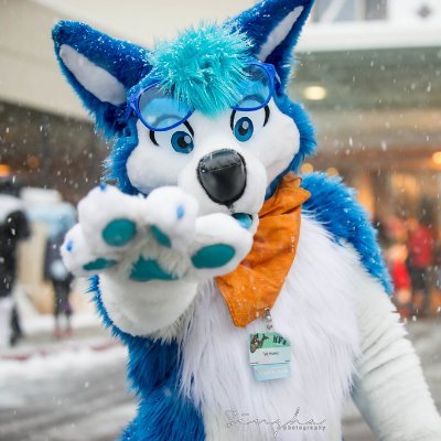 Furry | Streamer | 31 | He/Him
Opinions are my own 
fursuit by @MadeFurYou

💙💜 @unpopularwolfAD