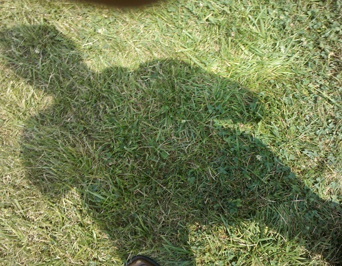 alaux's profile picture. BGSU grad, blue jackets, indians, 49ers fan, microbrew sampler, CRM lover.