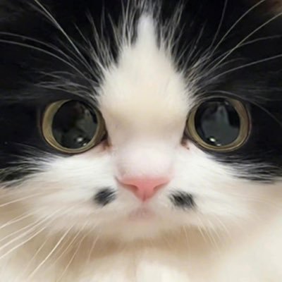 山楼さんのプロフィール画像
