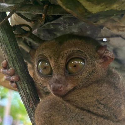 pogingGuro's profile picture. Never give up 🙌🏻