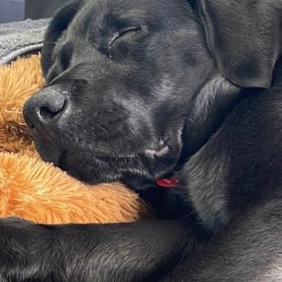 NZAd_guy's profile picture. Proud Ngāti Maniapoto.