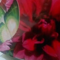 HEIND (@d56e94e9a2674b0) 's Twitter Profile