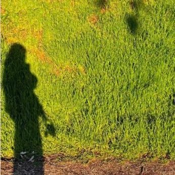 WickedPSXDrago2's profile picture. @TerryDQuickUSAE @TerryDQuickUSA @WickedPS4Dragon @WickedPS8Dragon @SoCalFly07