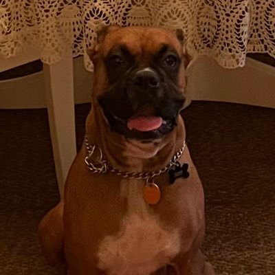 ManuelCassiano4's profile picture. 