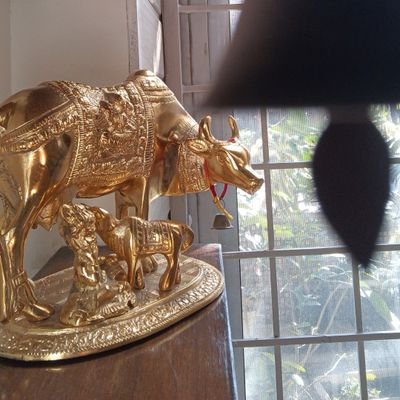 neerajdilse's profile picture. SOUL ❤️