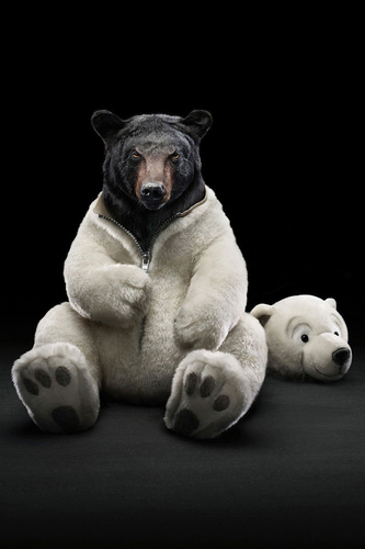 PolikiArkouda's profile picture. σε χειμερία νάρκη.....
sometimes to win you must be something you are not......
I am a soldier, I fight where I am told, and I win where I fight.....