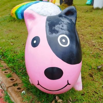 2018年からタイ在住のキラキラ系駐在会社員。琵琶湖のそば出身。
生き物(魚や キノコや草とか)、食べ物とかのネタ呟きます。
婚活中