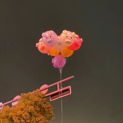 zhaohan57204968's profile picture. 