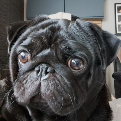 HenrietSandrine's profile picture. 