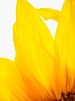 PalshikarUtpala's profile picture. 