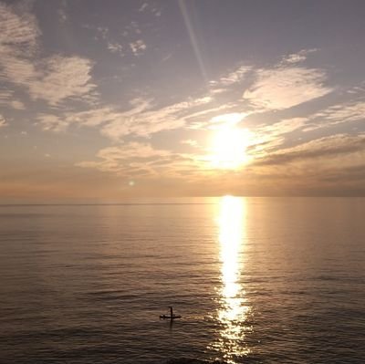 e1ynBjRsUbV3UrZ's profile picture. 