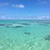 LaLa🏝🌊🐠🏄♂️✨ (@lalalife_island) Twitter profile photo LaLa🏝🌊🐠🏄♂️✨ (@lalalife_island) Twitter profile photo