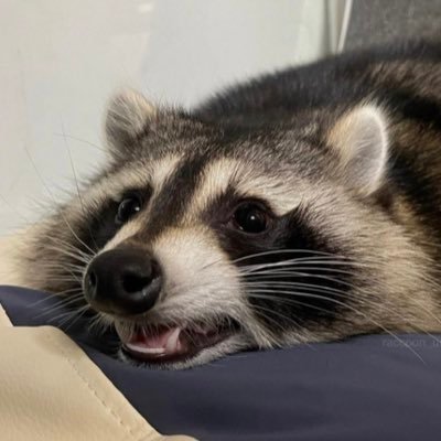 Lenyx147's profile picture. 