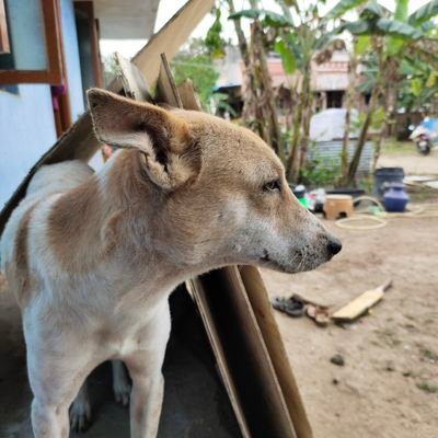 priyan777s's profile picture. One life❤️❤️❤️❤️