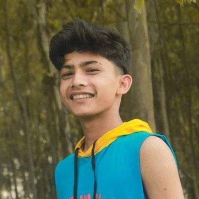 VijayRokaya3's profile picture. Bi