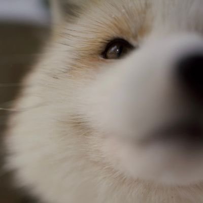 ace72285434's profile picture. 