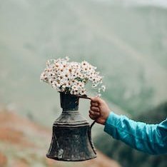 MyMedGlobal1's profile picture. simp for yang jungwon🐱