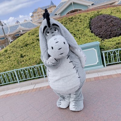 daruomotarou's profile picture. マユリカ！！！