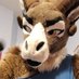 Mommy Mouflon 🔜FWA 🏳️‍⚧️ (@MouflonUnmilked) Twitter profile photo