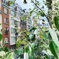 caroline Joanblanq (@carolinejoanbl1) 's Twitter Profile Photo