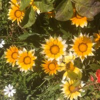 Happy (@ironman_nb) Twitter profile photo