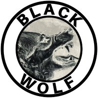 Black Wolf(@YaBoyBlackWolf) 's Twitter Profile Photo