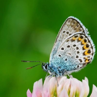 privat | politisch interessiert |
versäume nicht deine Verabredung mit dem Leben ✨🌈🦋🇮🇱🇺🇦🇮🇱🇺🇦