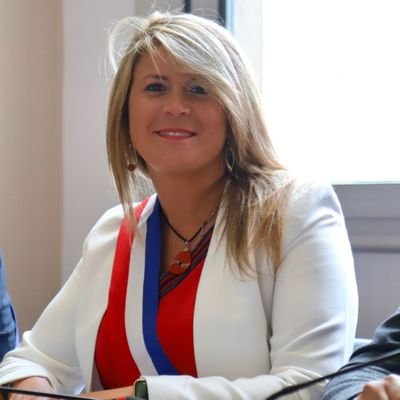 -Maire Adjointe à la formation,  apprentissage, emploi, insertion PRO
/ Présidente mission locale intercommunale Poissy-Conflans
/ 1ère vice-président CAF 78