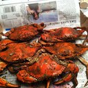 Beth Paolucci - @bbpooch - Twitter