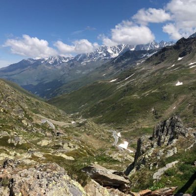 Swazy_ioshi's profile picture. 