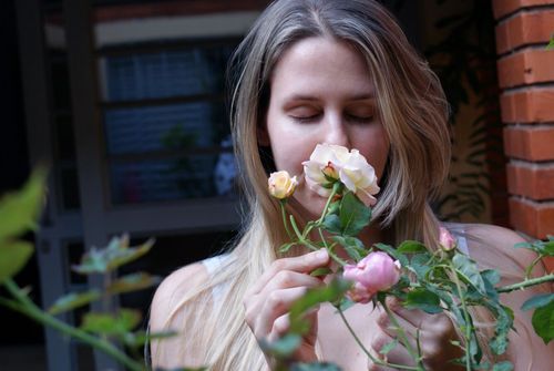 TDenar's profile picture. finding my way though life. this is getting kind of fun!