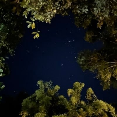 Em_Bn4's profile picture. أكبر إجتماعية مُنعزلة، أذكى متغابية، أغرب إنسانة مفهومة ، وأعقد شخصية محبوبة | صخبٌ هادىء كالجنون.| Specialist nursing | Pediatric oncology and stem cell