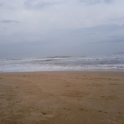 manzarkhan705's profile picture. The less People You Chill With 
The less Bullshit you deal with