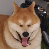Marko Prašek (@markoprasek) 's Twitter Profile