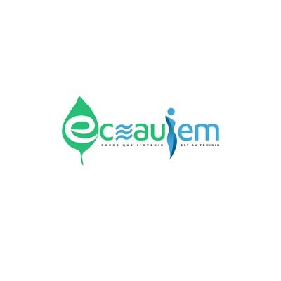 eceaufem's profile picture. ECEau-Fem, une association de femmes pour la promotion du genre, la protection de l'environnement, l’accès à l'eau, l'hygiène et l'assainissement.